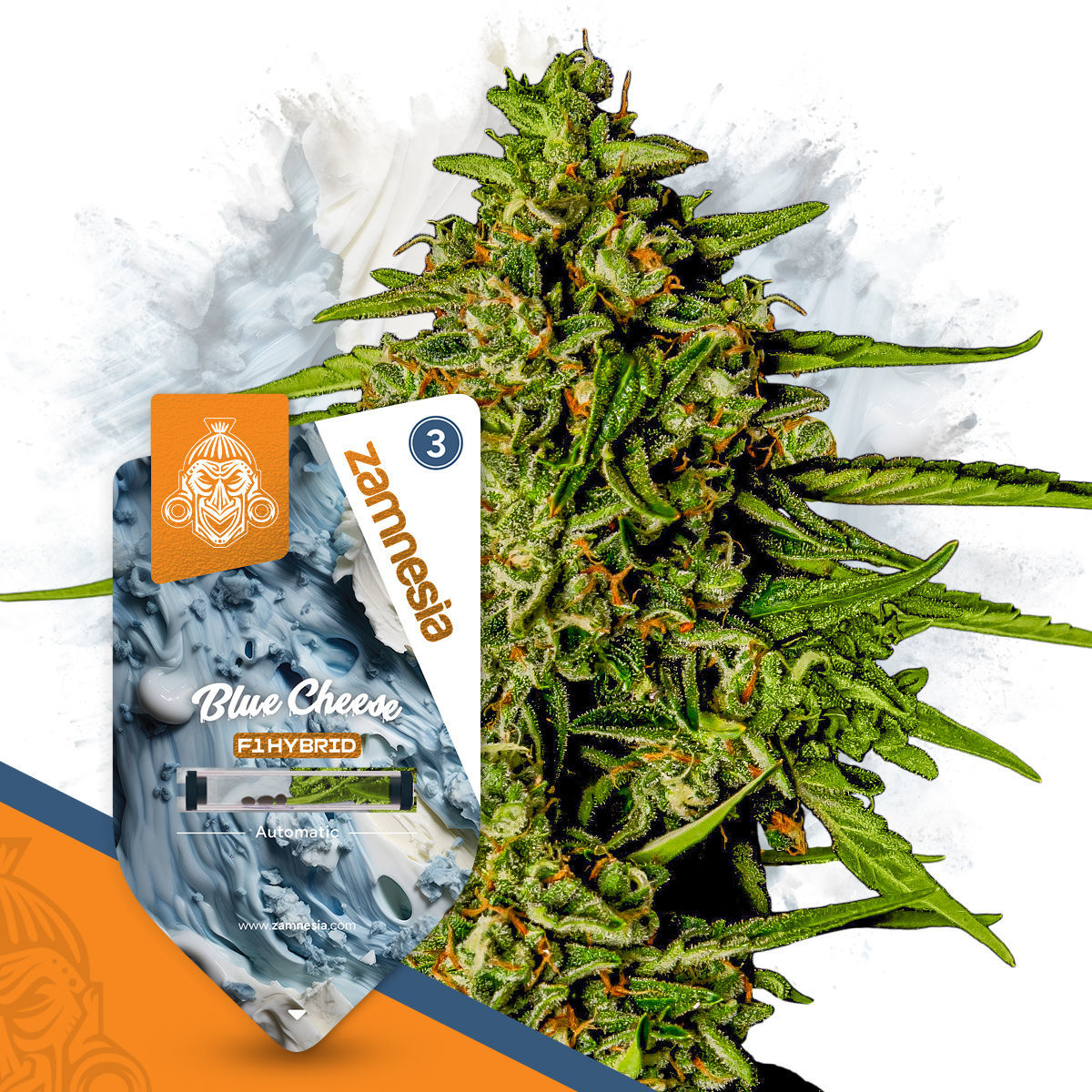 Blue Cheese Feminisiert (Zamnesia)