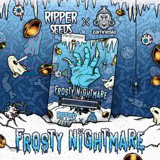 Frosty Nightmare (Ripper Seeds x Zamnesia) feminisiert