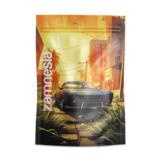 Saint Andreas Z-Lock Stash Bags (Large)