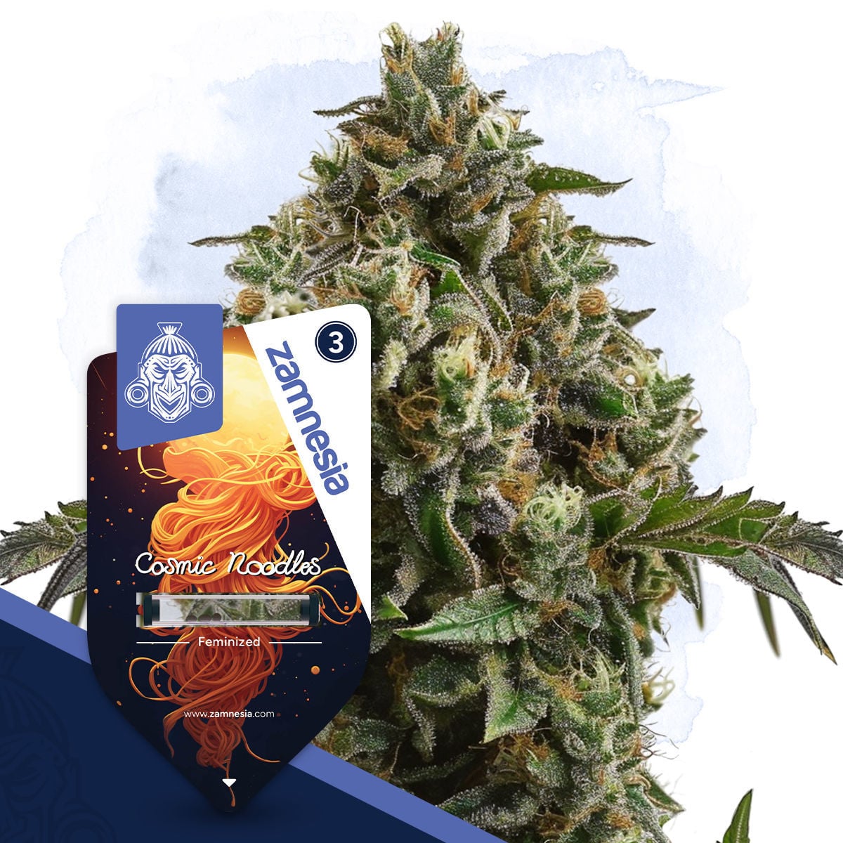 zamnesia-seeds-cosmic-noodles.jpg