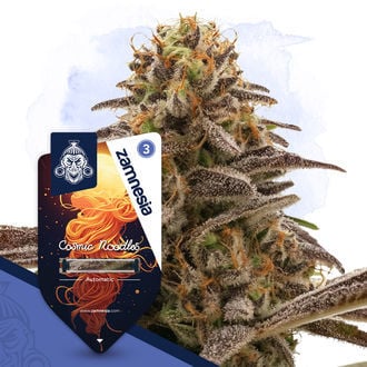 Cosmic Noodles Automatic (Zamnesia Seeds) feminisiert