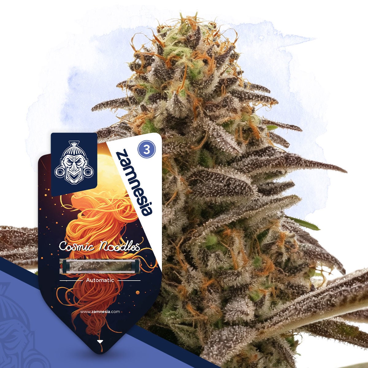 Cosmic Noodles Autoflower | Zamnesia Seeds