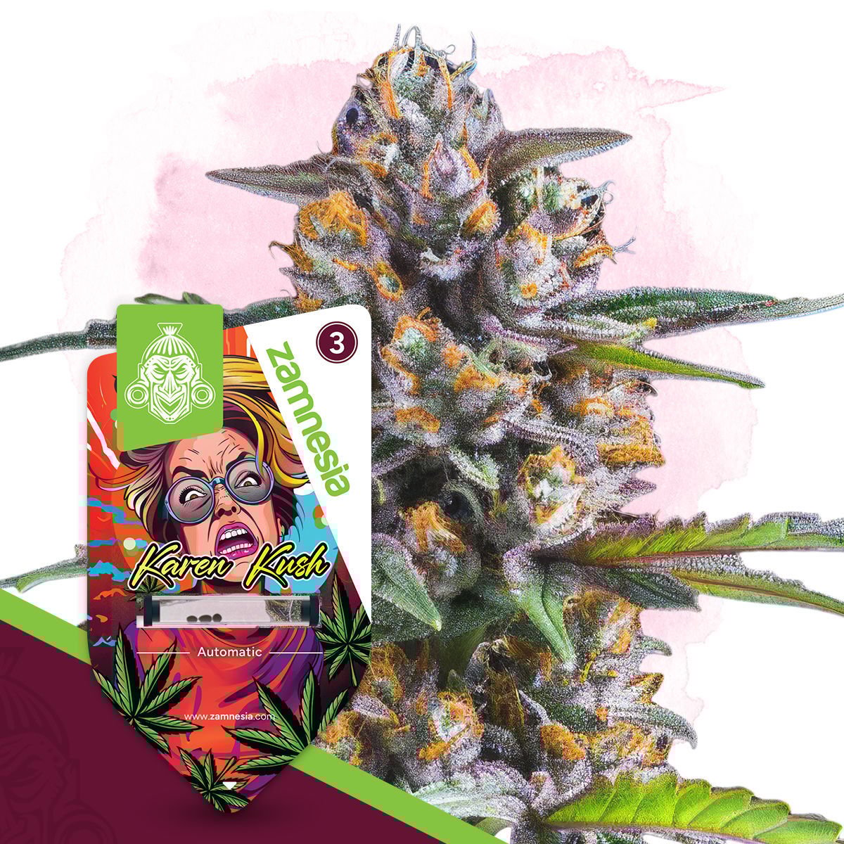 Cotton Bud Auto (Zamnesia)