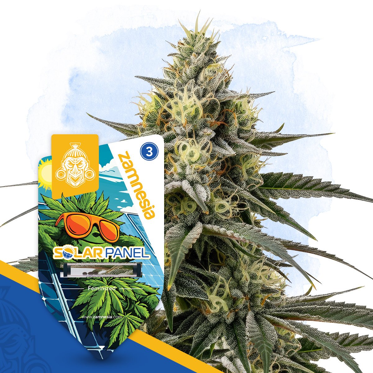 ★金魚草⑫〜⑳★ Shop Goldfinch | Dockside Cannabis - Green Lake Dispensary Seattle, WA