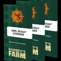 Girl Scout Cookies (Barney's Farm) feminized