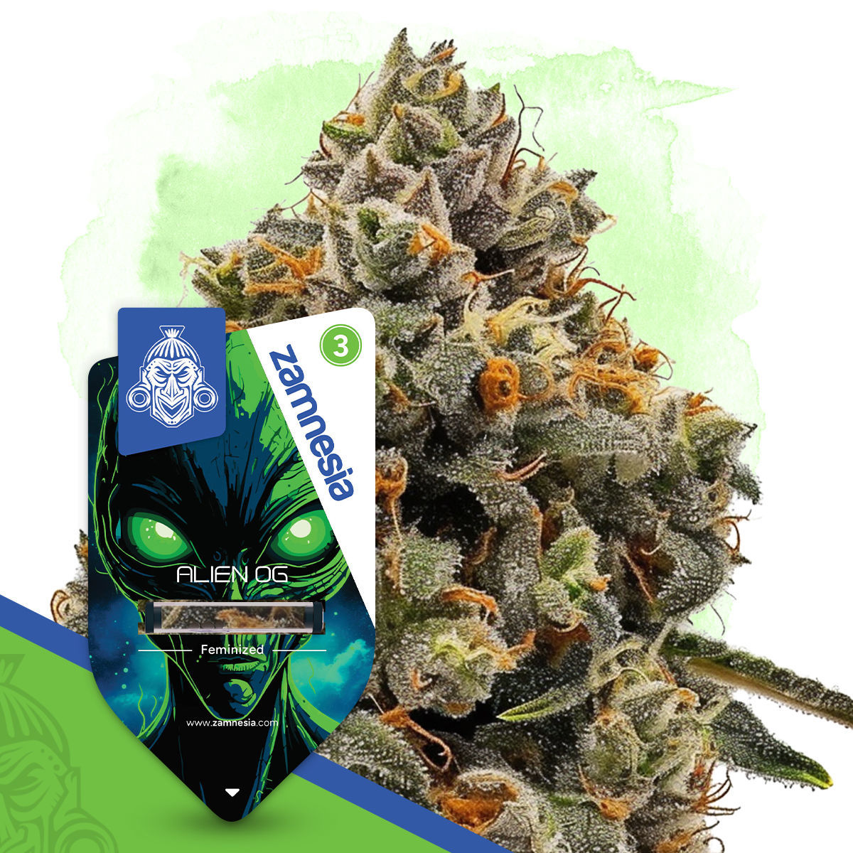 Alien OG | Zamnesia Seeds