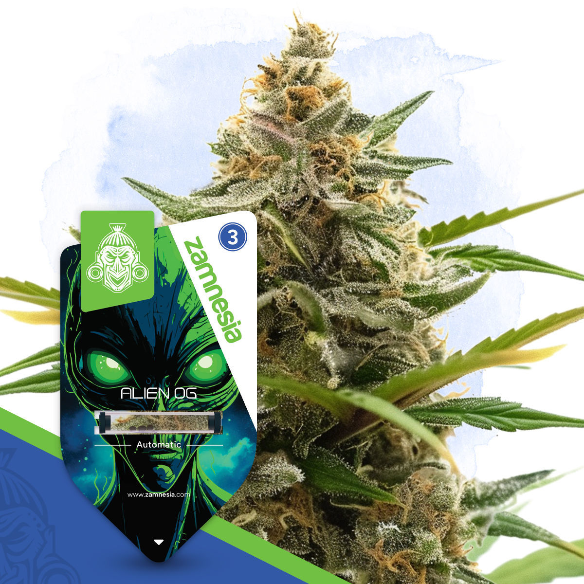 Alien OG Autoflower | Zamnesia Seeds
