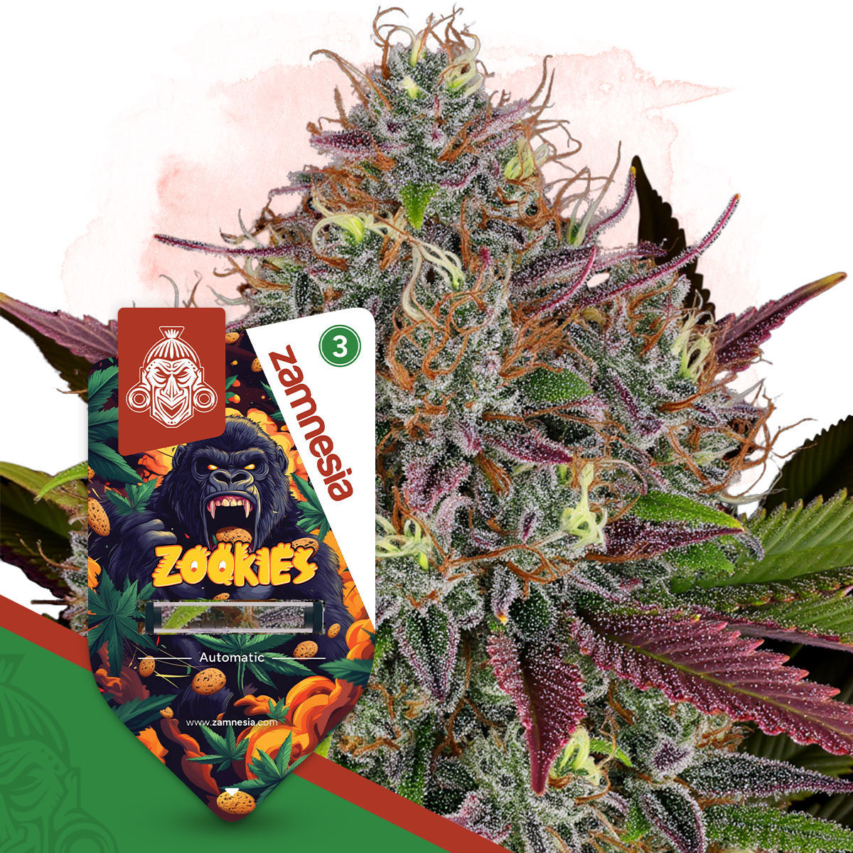 zamnesia-seeds-zookies-auto.jpg