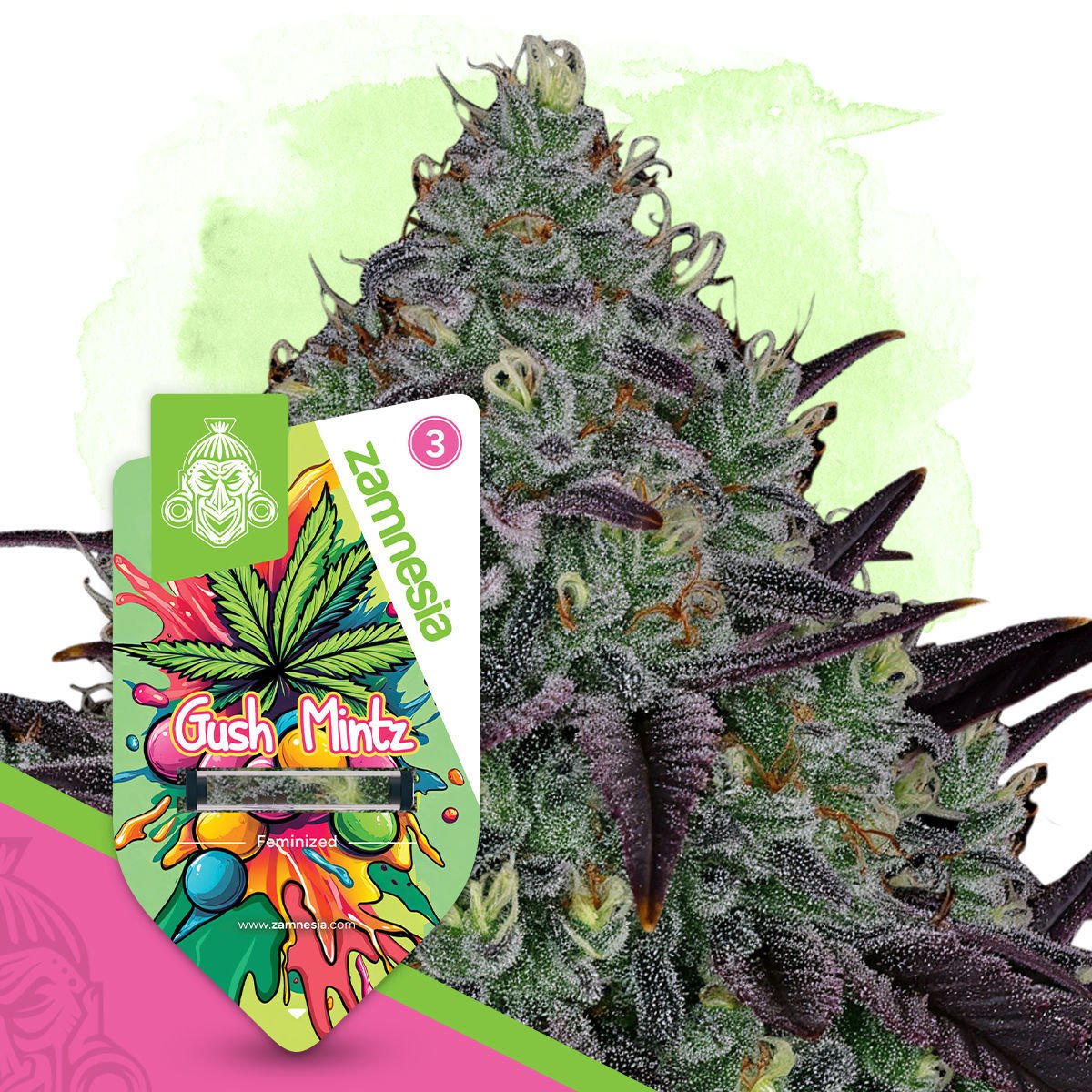 Moon Mintz Feminisiert (Supernatural Seeds)