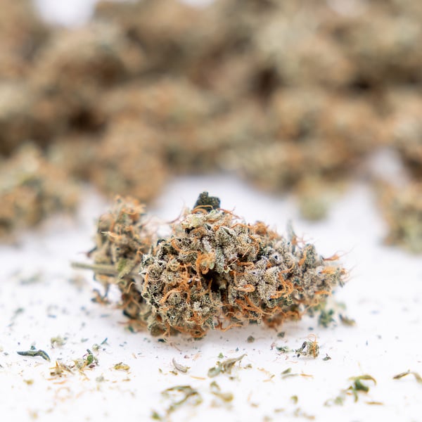 Gush Mintz Autoflower (Zamnesia Seeds) feminized