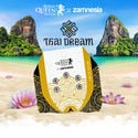 Thai Dream (Royal Queen Seeds x Zamnesia) feminized