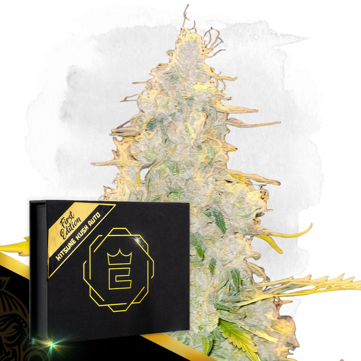 Kitsune Kush Auto | Zamnesia Seeds