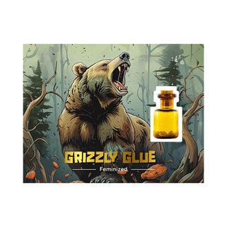 Grizzly Glue (Zamnesia Seeds) feminized
