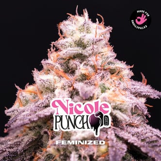 Nicole Punch (Zamnesia Seeds) feminisiert