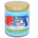 Candle Clothesline Fresh (Smoke Odor Exterminator)