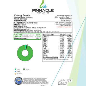 Blueberry - THCa Flower 29% (Zamnesia)