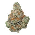 Apple Fritter - THCa Flower 26% (Zamnesia)