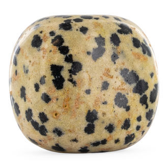 Dalmatian Jasper