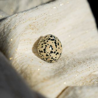 Dalmatian Jasper