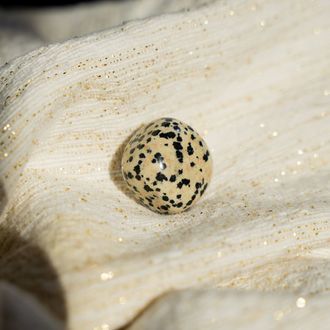 Dalmatian Jasper