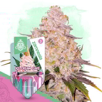 Desserts Pack - Autoflower Strains