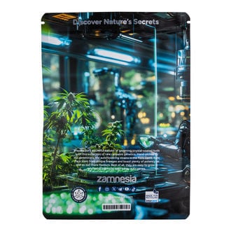 Rare Gems Pack - Autoflower Strains