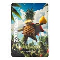 The F1 Power Pack - F1 Hybrid Seeds