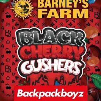 Black Cherry Gushers (Barney’s Farm x Backpackboyz) feminisiert