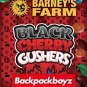 Black Cherry Gushers (Barney's Farm x Backpackboyz) feminized