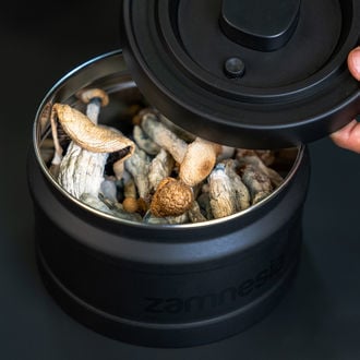 VacuFresh Edelstahlbehälter (Zamnesia)