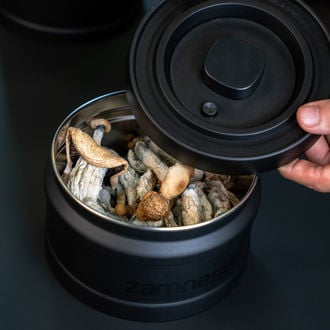 VacuFresh Steel Container (Zamnesia)