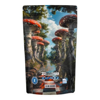 Zammi in Wonderland Z-Lock Stash Bag (Extra Large)