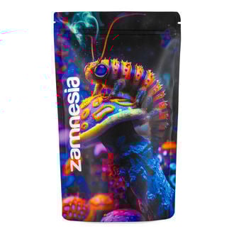 Zammi in Wonderland Z-Lock Stash Bag (Extra Large)