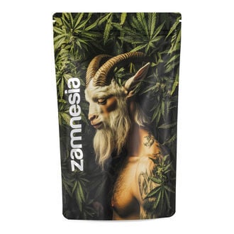 Mythical Creatures Z-Lock Stash Bag (Extra Large)