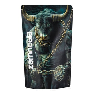 Mythical Creatures Z-Lock Stash Bag (Extra Large)