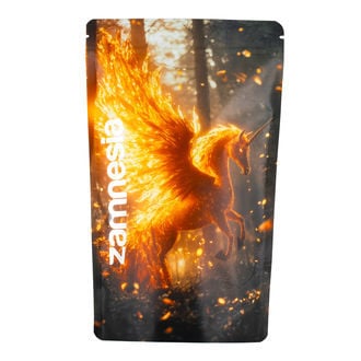 Mythical Creatures Z-Lock Stash Bag (Extra Large)