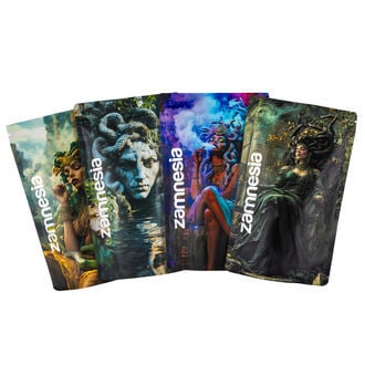 Medusa Z-Lock Stash Bag (Extra Large)