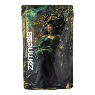 Medusa Z-Lock Stash Bag (Extra Large)