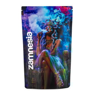 Medusa Z-Lock Stash Bag (Extra Large)