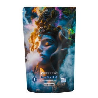 Medusa Z-Lock Stash Bag (Extra Large)