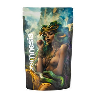 Medusa Z-Lock Stash Bag (Extra Large)