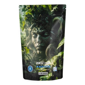 Medusa Z-Lock Stash Bag (Extra Large)