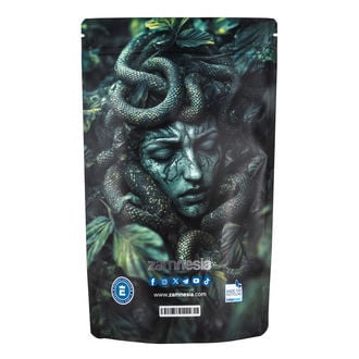 Medusa Z-Lock Stash Bag (Extra Large)