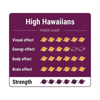 High Hawaiians Magic Truffles