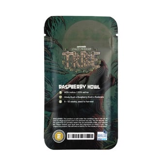 Raspberry Howl Autoflower (Zamnesia Seeds) feminized