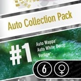 Auto Collection Pack 1 (Paradise Seeds) feminisiert