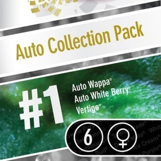 Auto Collection Pack 1 (Paradise Seeds) feminisiert