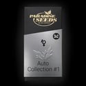 Auto Collection Pack 1 (Paradise Seeds) feminisiert