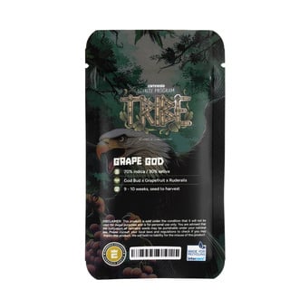 Grape God Autoflower (Zamnesia Seeds) feminized