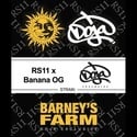 RS11 x Banana OG (Barney's Farm) feminized